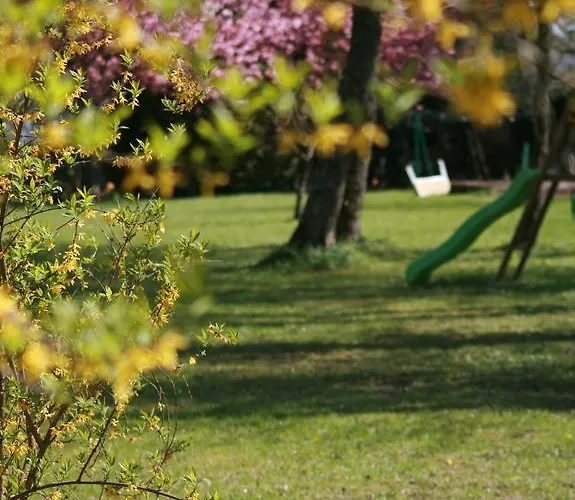 Chateau Du Clos Mortier 4*